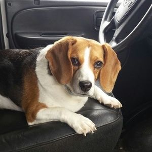 Meet your Posher, Debbie